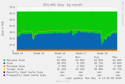 ZFS ARC Size